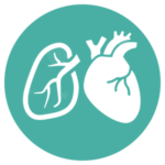 Fisioterapia Medicina Bagheria Pneumologia Cardiologia